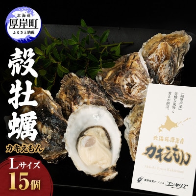 北海道厚岸ブランド牡蠣『カキえもん』L-size15個入り＜道の駅オリジナル牡蠣剥きナイフ付＞