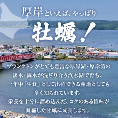 北海道厚岸ブランド牡蠣『カキえもん』L-size15個入り＜道の駅オリジナル牡蠣剥きナイフ付＞