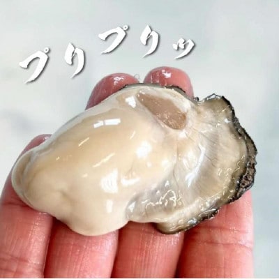 北海道厚岸ブランド牡蠣3種食べ比べセット 計30個(マルえもん、カキえもん、弁天かき 各10個)
