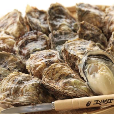 【さとふる限定】レンジで簡単蒸し牡蠣!厚岸産「マルえもん(Lサイズ)」32個(8個入×4パック)