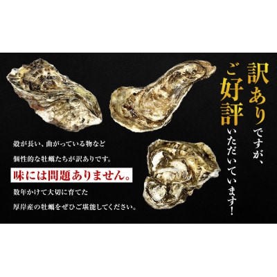 THE訳ありオイスター　規格外訳あり殻付かき(マルえもん)　約4kg