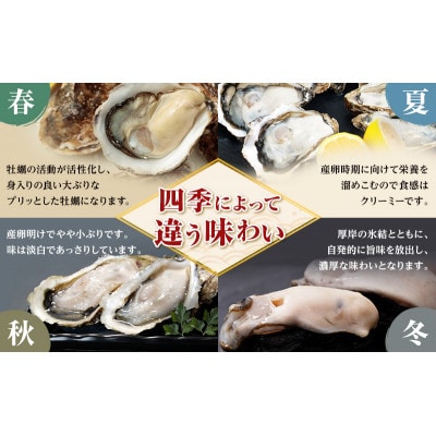 THE訳ありオイスター　規格外訳あり殻付かき(マルえもん)　約4kg