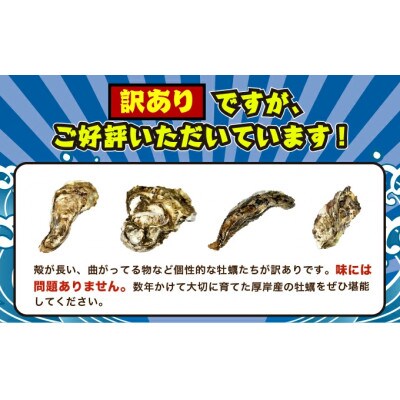 THE訳ありオイスター 規格外 牡蠣 約2kg  殻付カキ 「マルえもん」(1箱11個～25個入り)