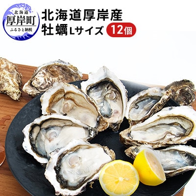 北海道厚岸町産 牡蠣 生食用 殻付カキ 「マルえもん」Lサイズ12個入り