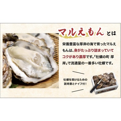北海道厚岸町産 牡蠣 生食用 殻付カキ 「マルえもん」Mサイズ10個入り〈便利なカキナイフ付〉