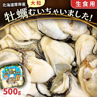 【大粒】北海道厚岸産 牡蠣むいちゃいました!(生食用) 500g