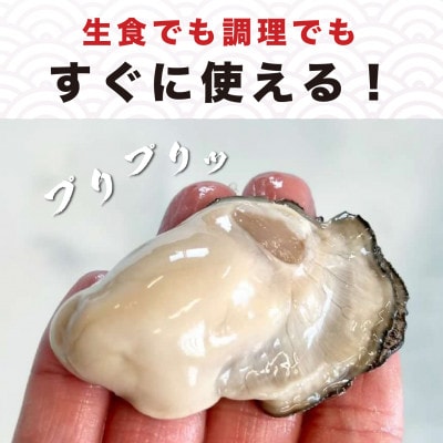 計1kgのむき牡蠣! 北海道厚岸産 牡蠣むいちゃいました!(生食用) 500g×2パック