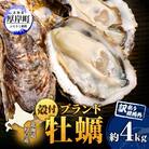 【夏出荷】THE訳ありオイスター 約4kg 北海道厚岸産ブランド牡蠣「マルえもん」殻付
