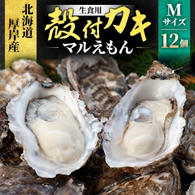 北海道厚岸町産 牡蠣 生食用 殻付き牡蠣 「マルえもん」Mサイズ12個入り〈便利な牡蠣ナイフ付き〉