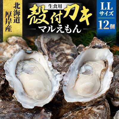北海道厚岸町産 牡蠣 生食用 殻付き牡蠣 「マルえもん」LLサイズ12個〈便利な牡蠣ナイフ付き〉