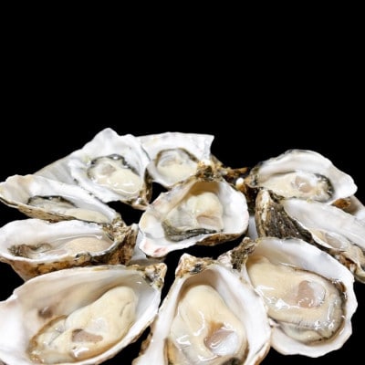 北海道厚岸町産 牡蠣 生食用 殻付き牡蠣 「マルえもん」3Lサイズ12個入り〈便利な牡蠣ナイフ付き〉