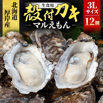 北海道厚岸町産 牡蠣 生食用 殻付き牡蠣 「マルえもん」3Lサイズ12個入り〈便利な牡蠣ナイフ付き〉