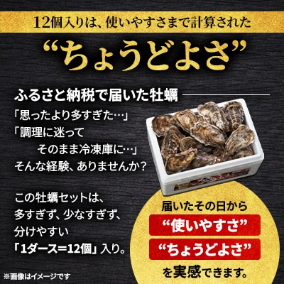 北海道厚岸町産 牡蠣 生食用 殻付き牡蠣 「マルえもん」3Lサイズ12個入り〈便利な牡蠣ナイフ付き〉