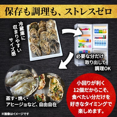 北海道厚岸町産 牡蠣 生食用 殻付き牡蠣 「マルえもん」3Lサイズ12個入り〈便利な牡蠣ナイフ付き〉