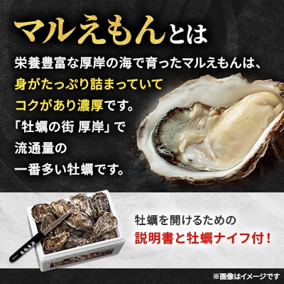 北海道厚岸町産 牡蠣 生食用 殻付き牡蠣 「マルえもん」3Lサイズ12個入り〈便利な牡蠣ナイフ付き〉
