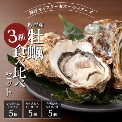 北海道厚岸産　ブランド牡蠣食べ比べ　3種×各5個 (計15個)　カキナイフ付き