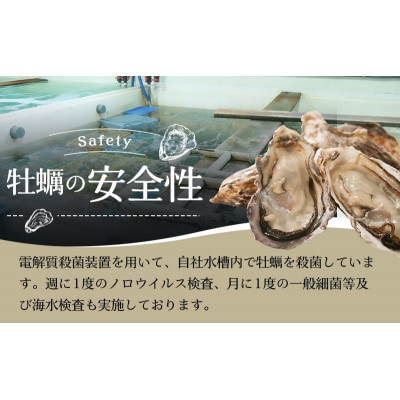 北海道厚岸産　ブランド牡蠣食べ比べ　3種×各5個 (計15個)　カキナイフ付き