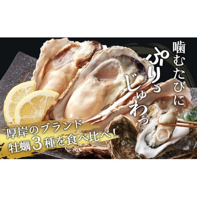 北海道厚岸産　ブランド牡蠣食べ比べ　3種×各10個 (計30個)　カキナイフ付き