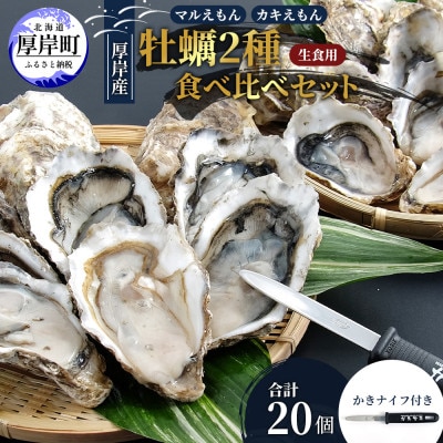 【生食用】北海道厚岸産　殻付牡蠣2種食べ比べ(マルえもんM・カキえもんL)各10個　カキナイフ付き