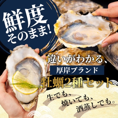 【生食用】北海道厚岸産　殻付牡蠣2種食べ比べ(マルえもんM・カキえもんL)各10個　カキナイフ付き