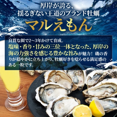 【生食用】北海道厚岸産　殻付牡蠣2種食べ比べ(マルえもんM・カキえもんL)各10個　カキナイフ付き