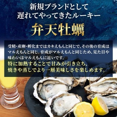 【生食用】厚岸産　殻付牡蠣食べ比べ(カキナイフ付)弁天牡蠣A3サイズ・カキえもんLLサイズ　各6個