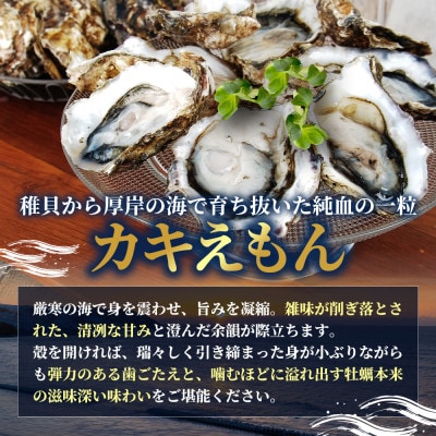 【生食用】厚岸産　殻付牡蠣食べ比べ(カキナイフ付)弁天牡蠣A3サイズ・カキえもんLLサイズ　各6個