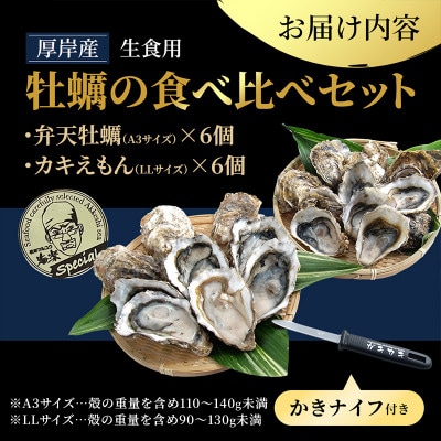 【生食用】厚岸産　殻付牡蠣食べ比べ(カキナイフ付)弁天牡蠣A3サイズ・カキえもんLLサイズ　各6個