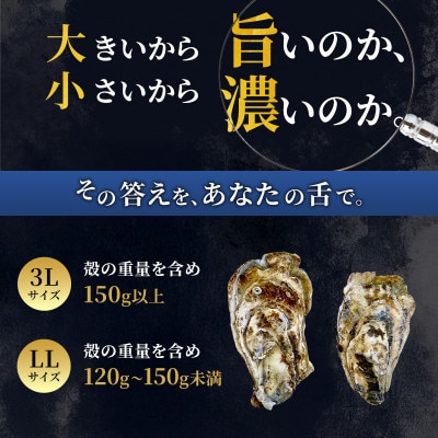 【生食用】北海道厚岸産殻付牡蠣　マルえもんサイズ食べ比べ　12個(3L・LL・各6個)カキナイフ付