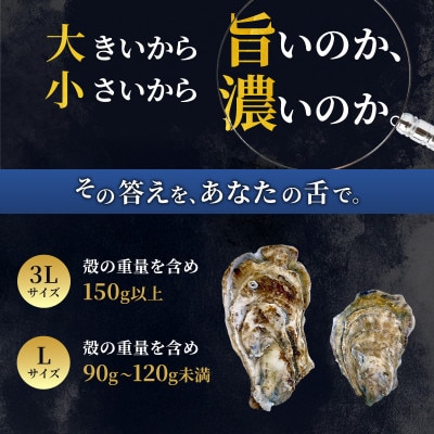 【生食用】北海道厚岸産殻付牡蠣　マルえもんサイズ食べ比べ　12個(3L・L・各6個)カキナイフ付