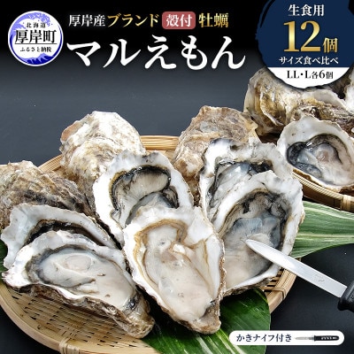 【生食用】北海道厚岸産殻付牡蠣　マルえもんサイズ食べ比べ　12個(LL・L・各6個)カキナイフ付