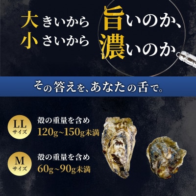 【生食用】北海道厚岸産殻付牡蠣　マルえもんサイズ食べ比べ　12個(LL・M・各6個)カキナイフ付