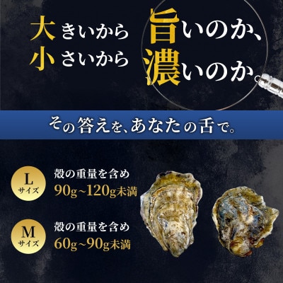 【生食用】北海道厚岸産殻付牡蠣　マルえもんサイズ食べ比べ　12個(L・M・各6個)カキナイフ付