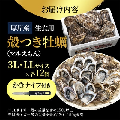 【生食用】北海道厚岸産殻付牡蠣　マルえもんサイズ食べ比べ　24個(3L・LL・各12個)カキナイフ付