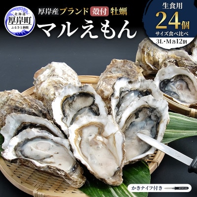 【生食用】北海道厚岸産殻付牡蠣　マルえもんサイズ食べ比べ　24個(3L・M・各12個)カキナイフ付