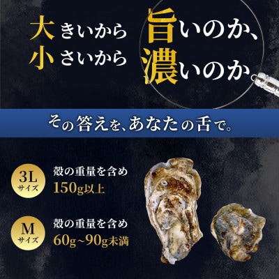 【生食用】北海道厚岸産殻付牡蠣　マルえもんサイズ食べ比べ　24個(3L・M・各12個)カキナイフ付