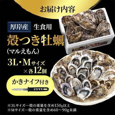 【生食用】北海道厚岸産殻付牡蠣　マルえもんサイズ食べ比べ　24個(3L・M・各12個)カキナイフ付