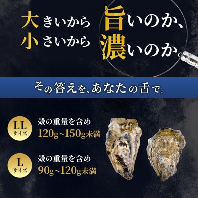 【生食用】北海道厚岸産殻付牡蠣　マルえもんサイズ食べ比べ　24個(LL・L・各12個)カキナイフ付
