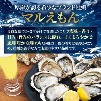 【生食用】北海道厚岸産殻付牡蠣　マルえもんサイズ食べ比べ　24個(LL・M・各12個)カキナイフ付