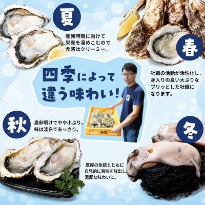 【訳あり】北海道厚岸産 牡蠣むいちゃいました!(生食用・冷凍)　200g×1パック