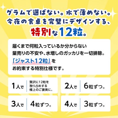 【生食用】北海道厚岸産　むき身牡蠣　「選ばれし12粒」　無水パック仕立て