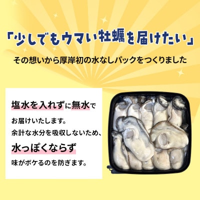 【生食用】北海道厚岸産　むき身牡蠣　「選ばれし12粒」　無水パック仕立て
