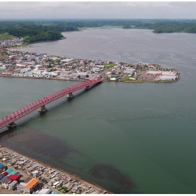 北海道産　ホタテフライ(5玉入)×4袋