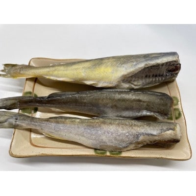 【訳あり】北海道産 氷下魚 一夜干し 1kg