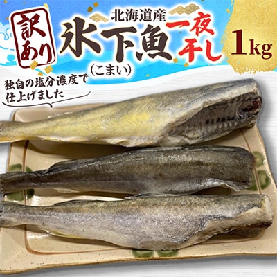 【訳あり】北海道産 氷下魚 一夜干し 1kg