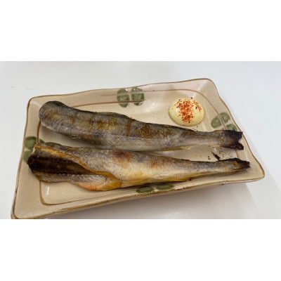 【訳あり】北海道産 氷下魚 一夜干し 1kg