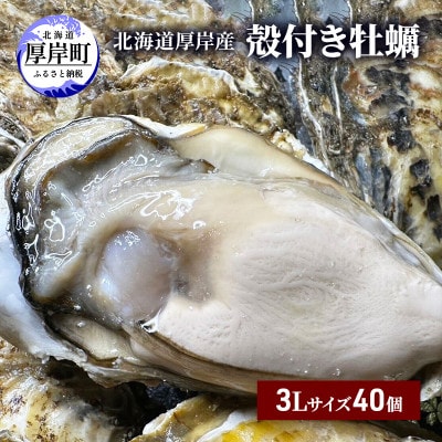 北海道厚岸産殻牡蠣【マルえもん 3Lサイズ 40個入り】 牡蠣ナイフ&軍手付き