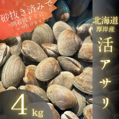 《砂出し済み》【北海道厚岸産】大粒天然あさり 4kg