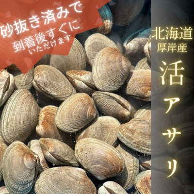【北海道の海産物満腹セット】牡蠣『マルえもん-LL』20個、大粒天然アサリ4kg《砂抜済み》セット