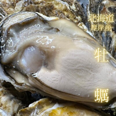 【北海道の海産物満腹セット】牡蠣『マルえもん-LL』10個、大粒天然アサリ4kg《砂抜済み》セット